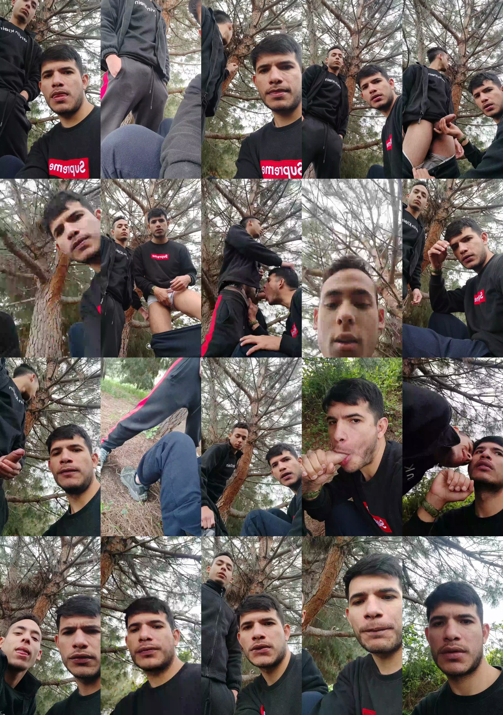 IPassionate  27-03-2022